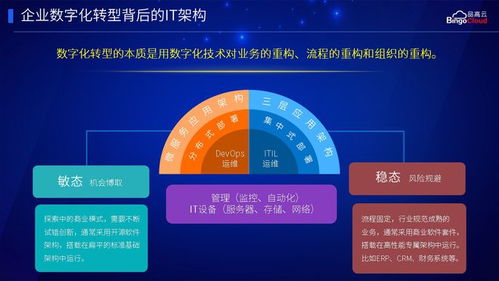 品高云龍?bào)K 為企業(yè)數(shù)字化轉(zhuǎn)型打造堅(jiān)實(shí)的信息化架構(gòu)基石